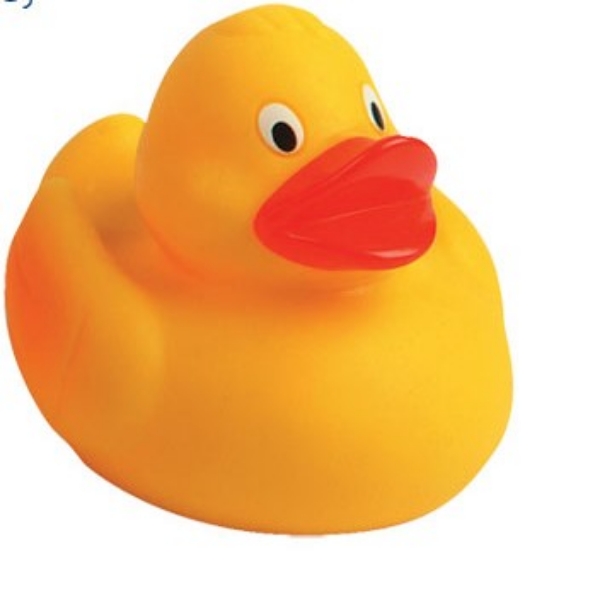 Picture of Racing Duck